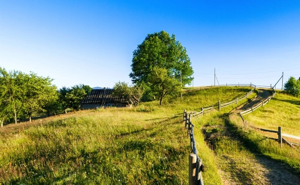 Фото: freepik.com 