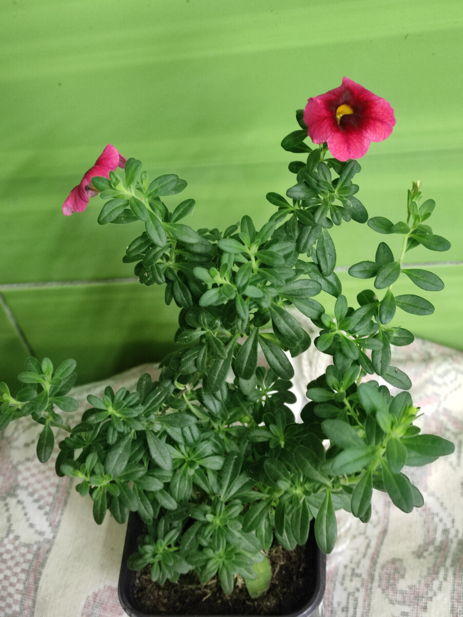 Здесь уже много чего можно срезать. 