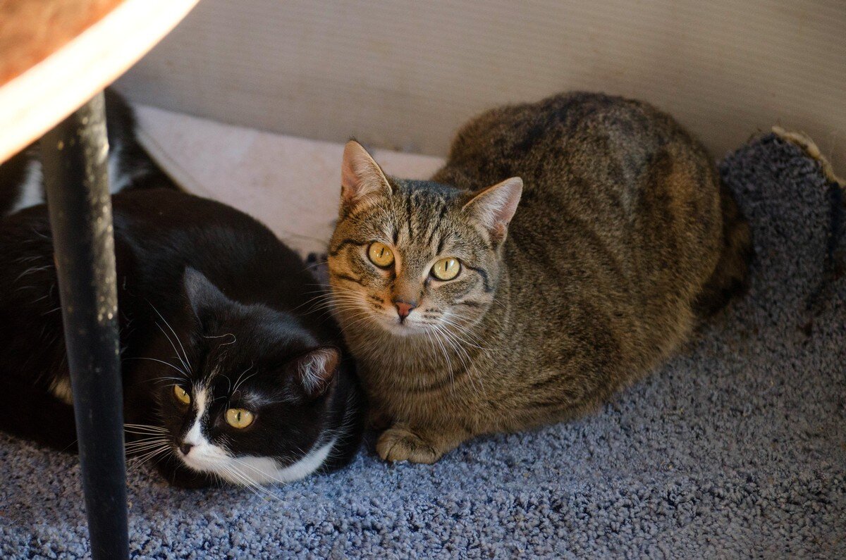 Фотография из личного архива