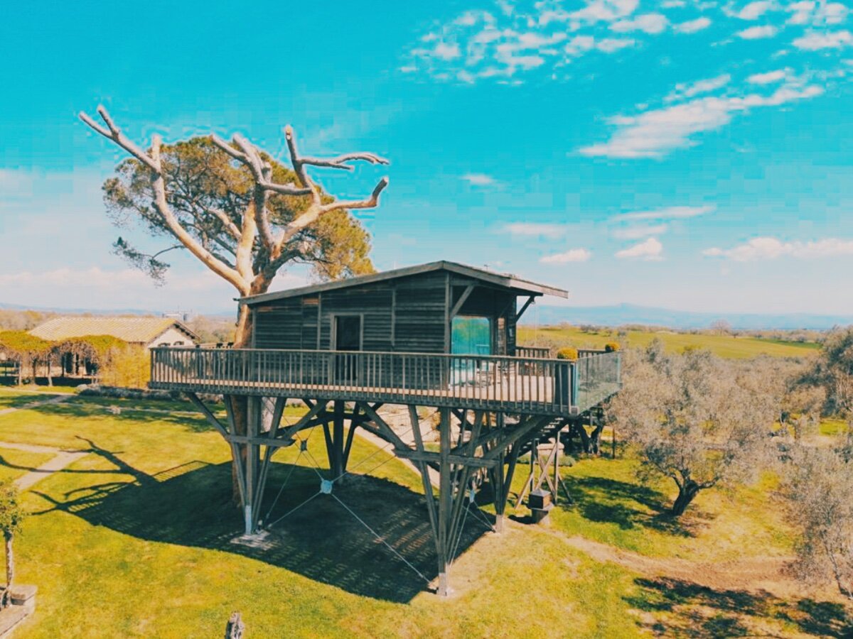 Black Cabin просто прислонён к старому дереву