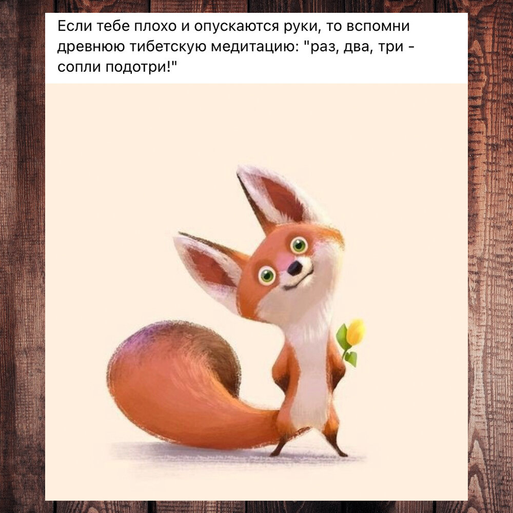 Немножко юмора =) (фото с просторов интернета)