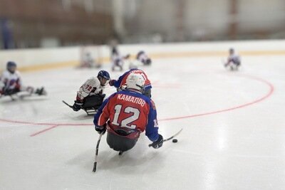    Подмосковный «Феникс» вышел в плей-офф чемпионата России по следж-хоккею © Пресс-служба Министерства физической культуры и спорта Московской области