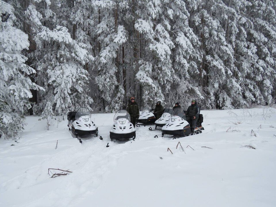     Туристические объекты Оренбуржья могут претендовать на премию медиагруппы «Комсомольская правда». Фото: Бузулукский бор