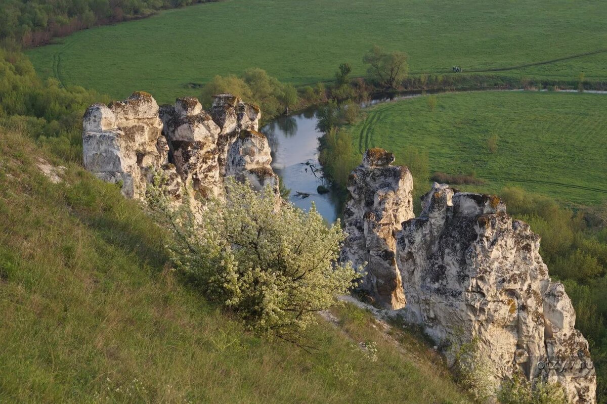 Дивногорье (фото из открытых источников).