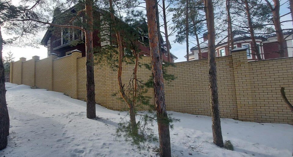     Активисты усомнились в законности строительства коттеджей у «Соснового бора» под Рязанью. Фото: ОНФ