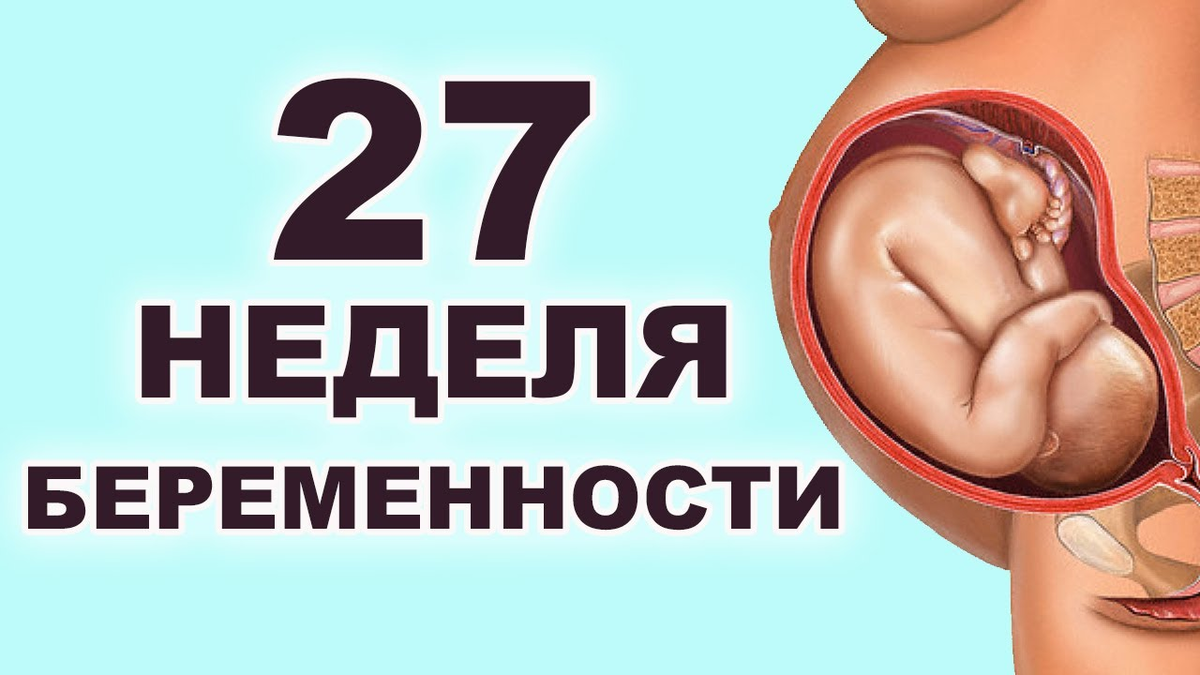 Изменения и ощущения на 27 неделе беременности