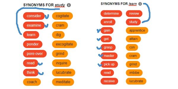 Синонимы learn and study