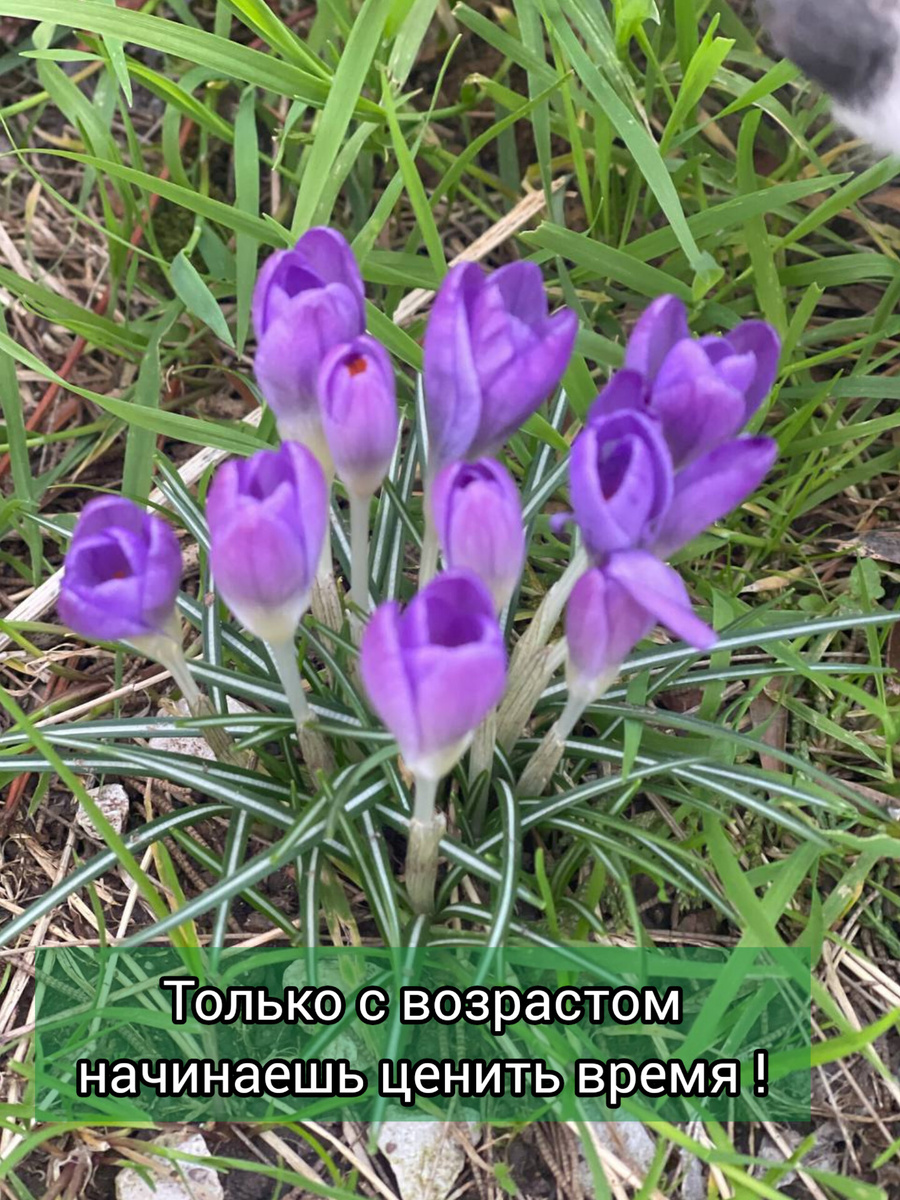 Фото из личного архива Надежды В. 