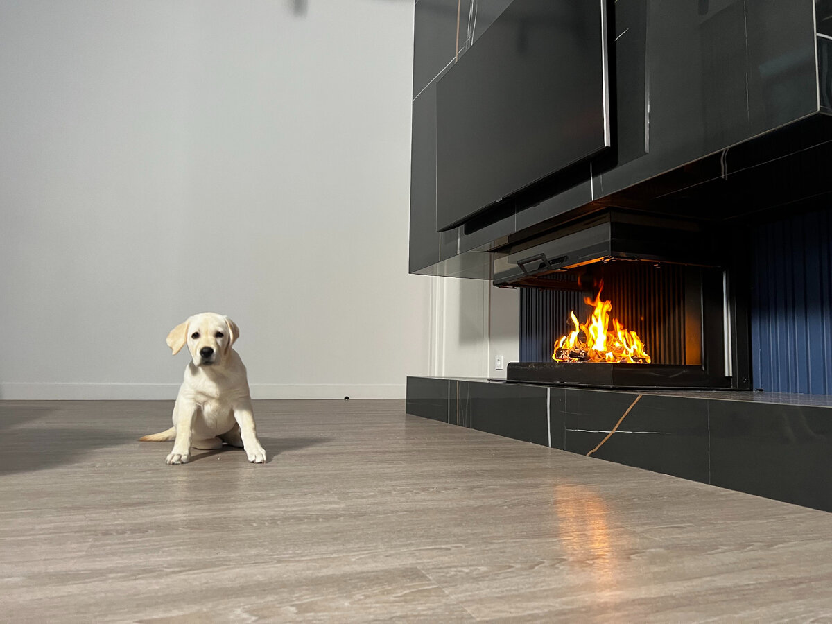 Уютная гостиная.