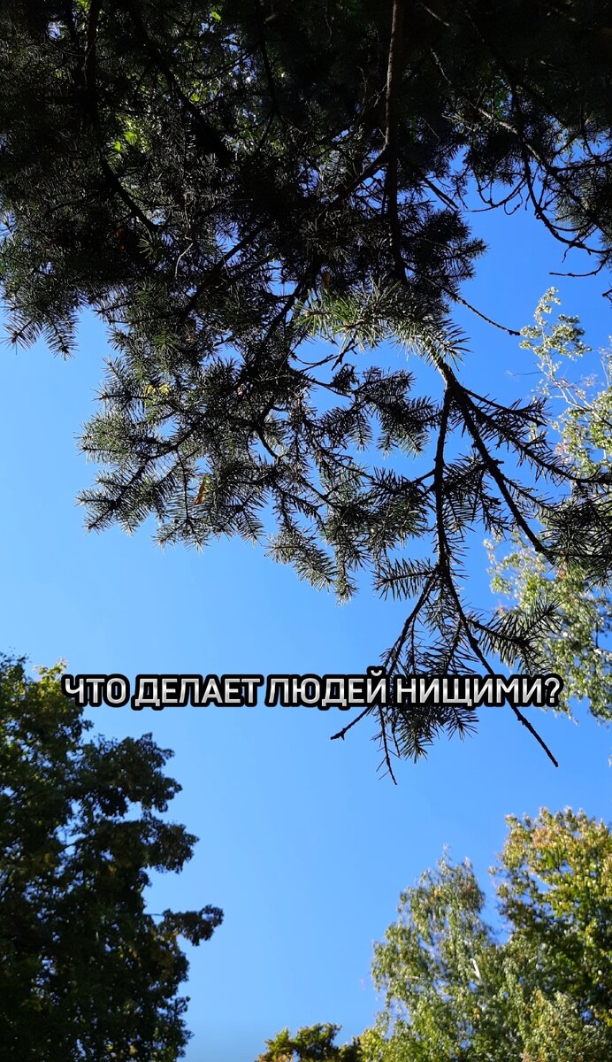 Что может привести к потере дохода?