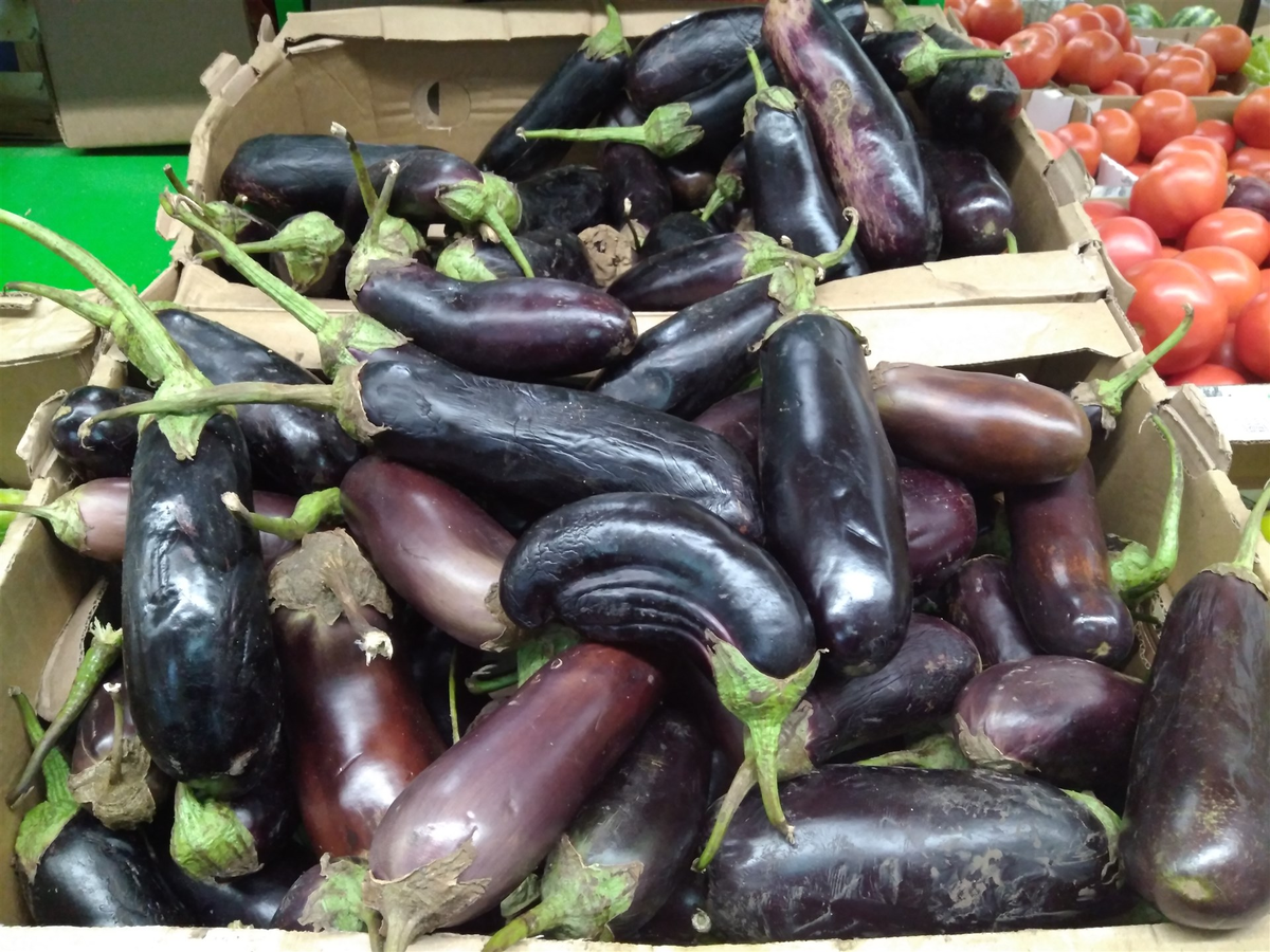 Изображение взято из открытого источника 