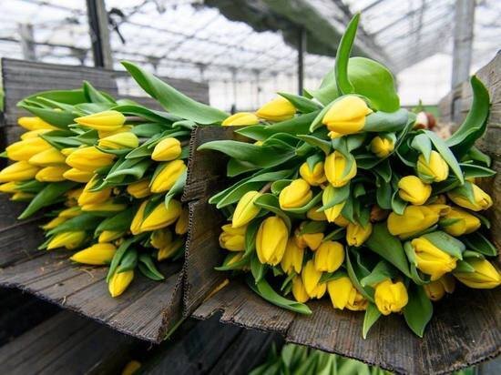     Фото: Владислава Шапши