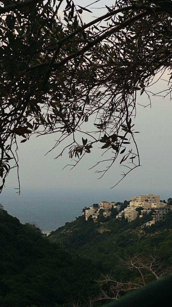 Вид на Хайфу