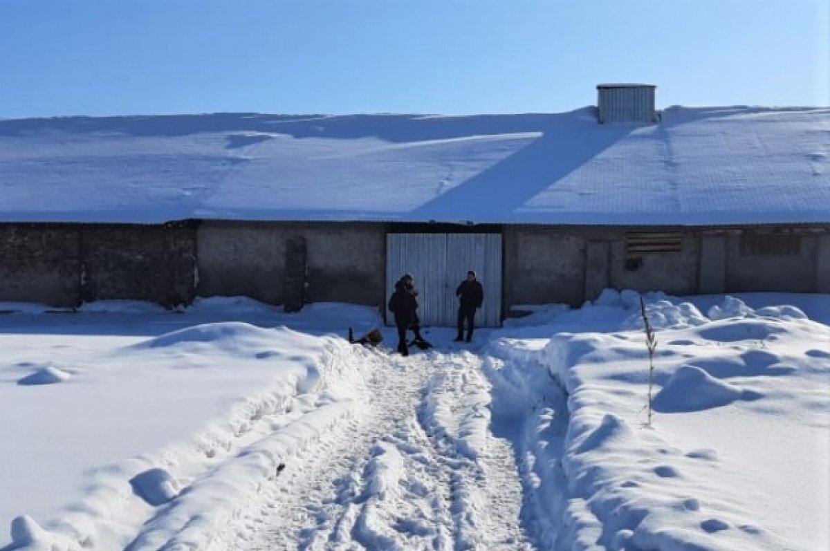    Правоохранители продолжают работать на месте ЧП.