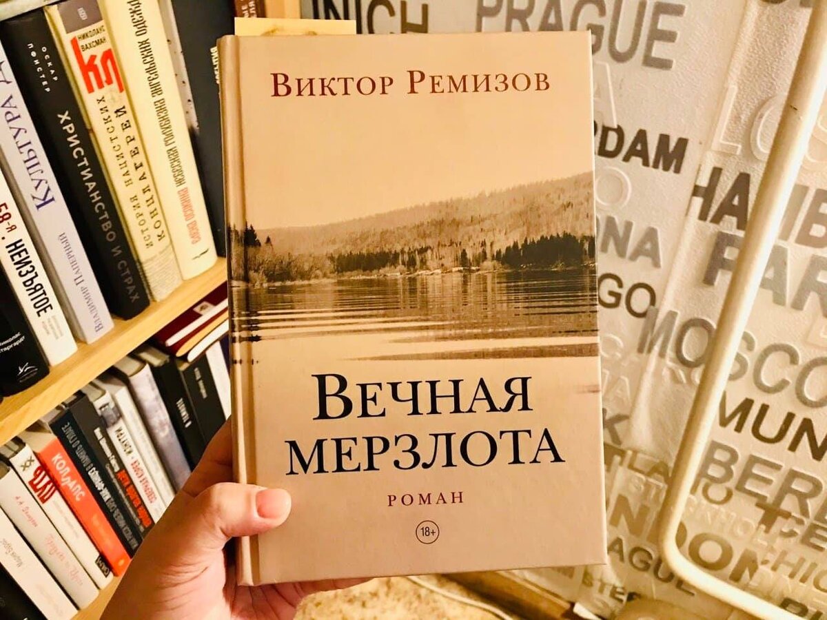 Наедине с читателем дзен читать. Книга Вечная мерзлота Ремизов. Ремизов Вечная мерзлота обложка.