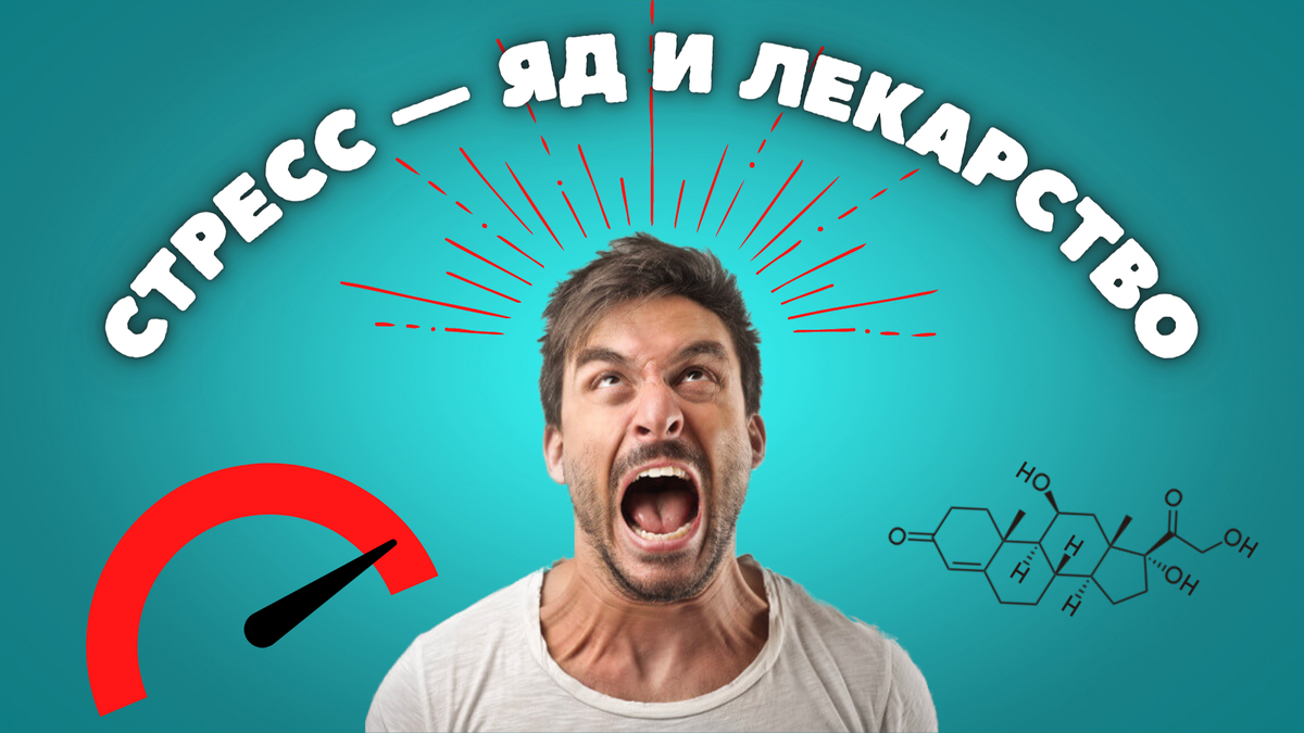 Почему мы заедаем стресс?