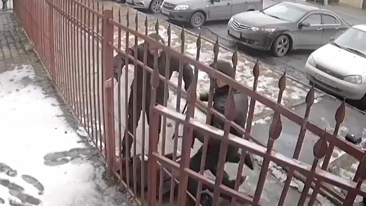     В Черкесске четверо неизвестных с битами напали на судью Арбитражного суда Казбека Салпагаров и замруководителя Управления казначейства по Карачаево-Черкесской Республике Мурата Эльканова (ВИДЕО). Нападение произошло в дневное время на улице города. О происшествии сообщает Telegram-канал Baza.