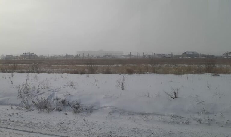    В ночь на 21 февраля в Оренбургской области прогнозируют снег, метель и до -14 градусов Кристина Просвиркина