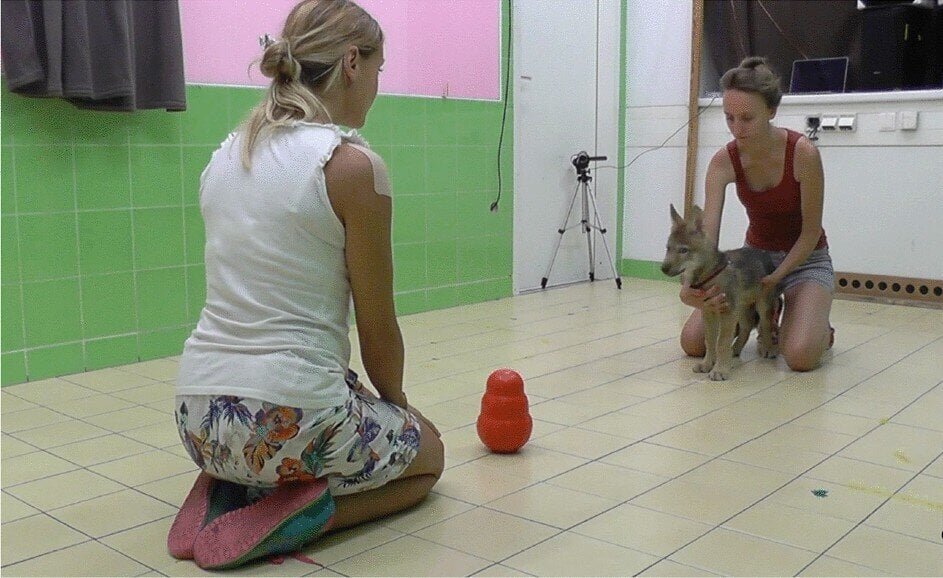 Так проходило испытание / © Claudia Fugazza