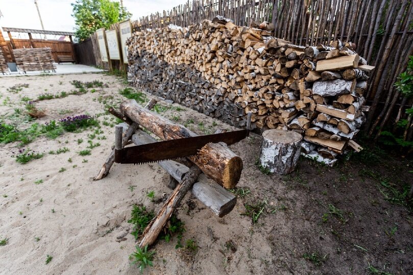     Фото: Густаво Зырянова/Сиб.фм