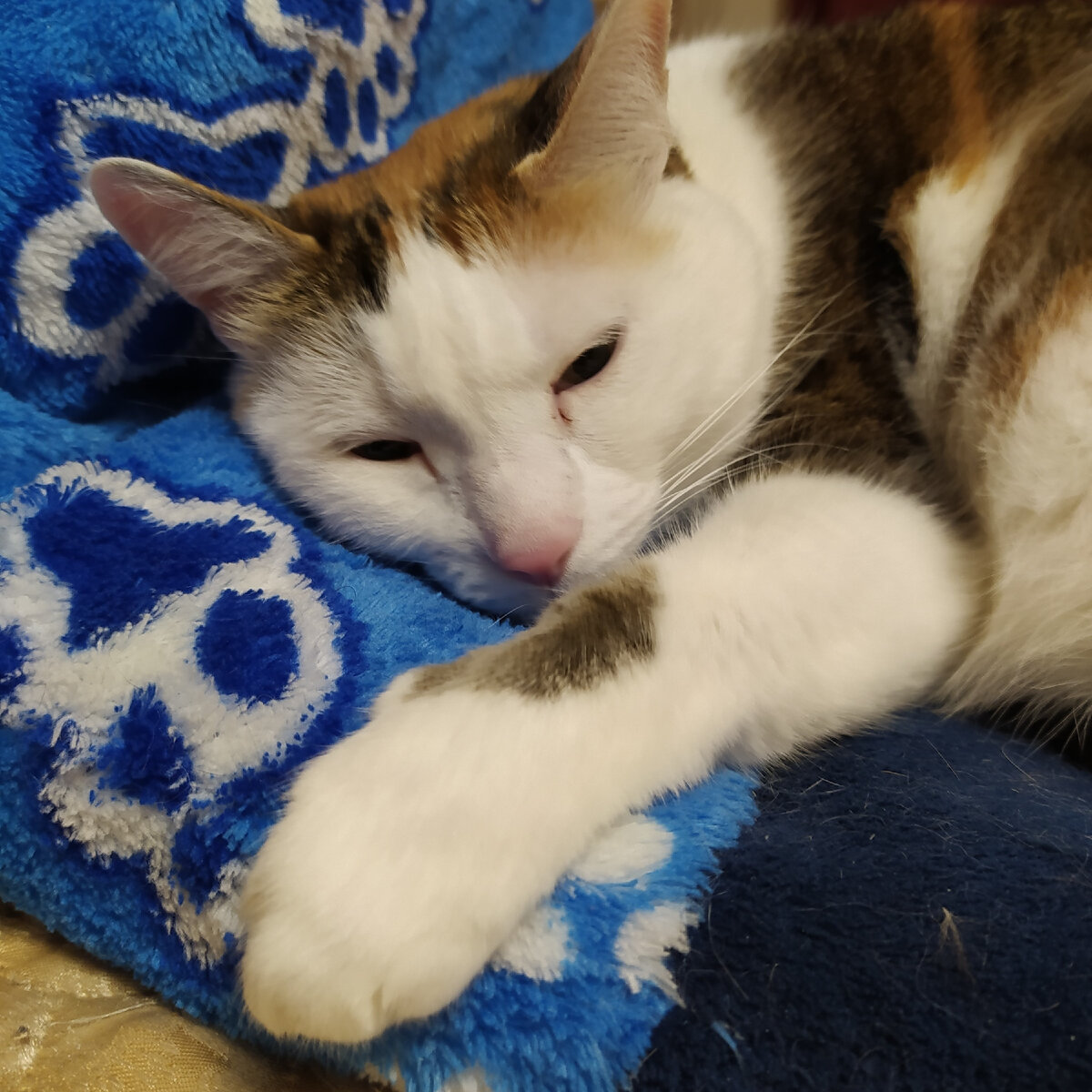 Уйди с глаз моих...