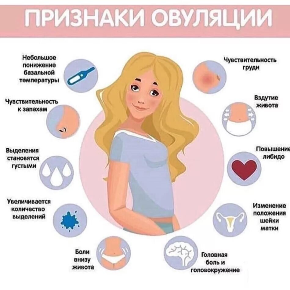 Ановуляция: почему не наступает овуляция, диагностика, как лечить?