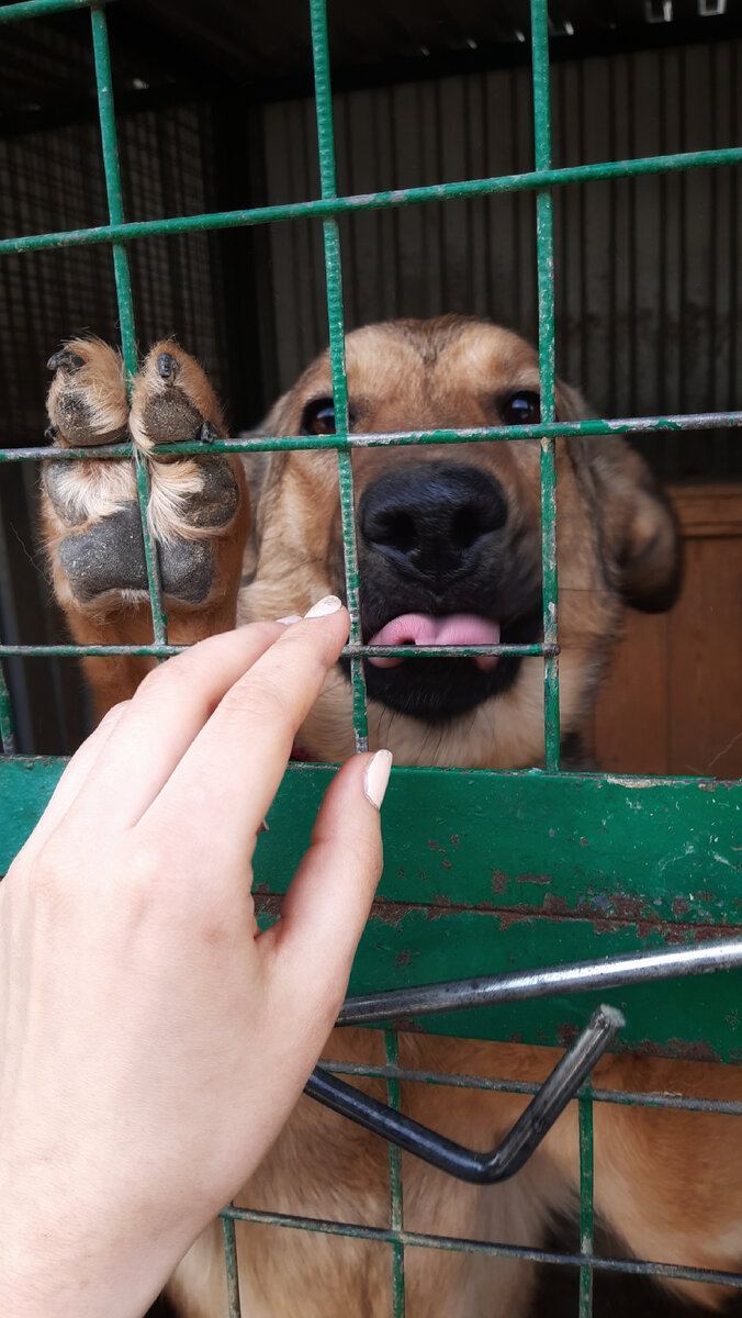 Фото- собственность канала