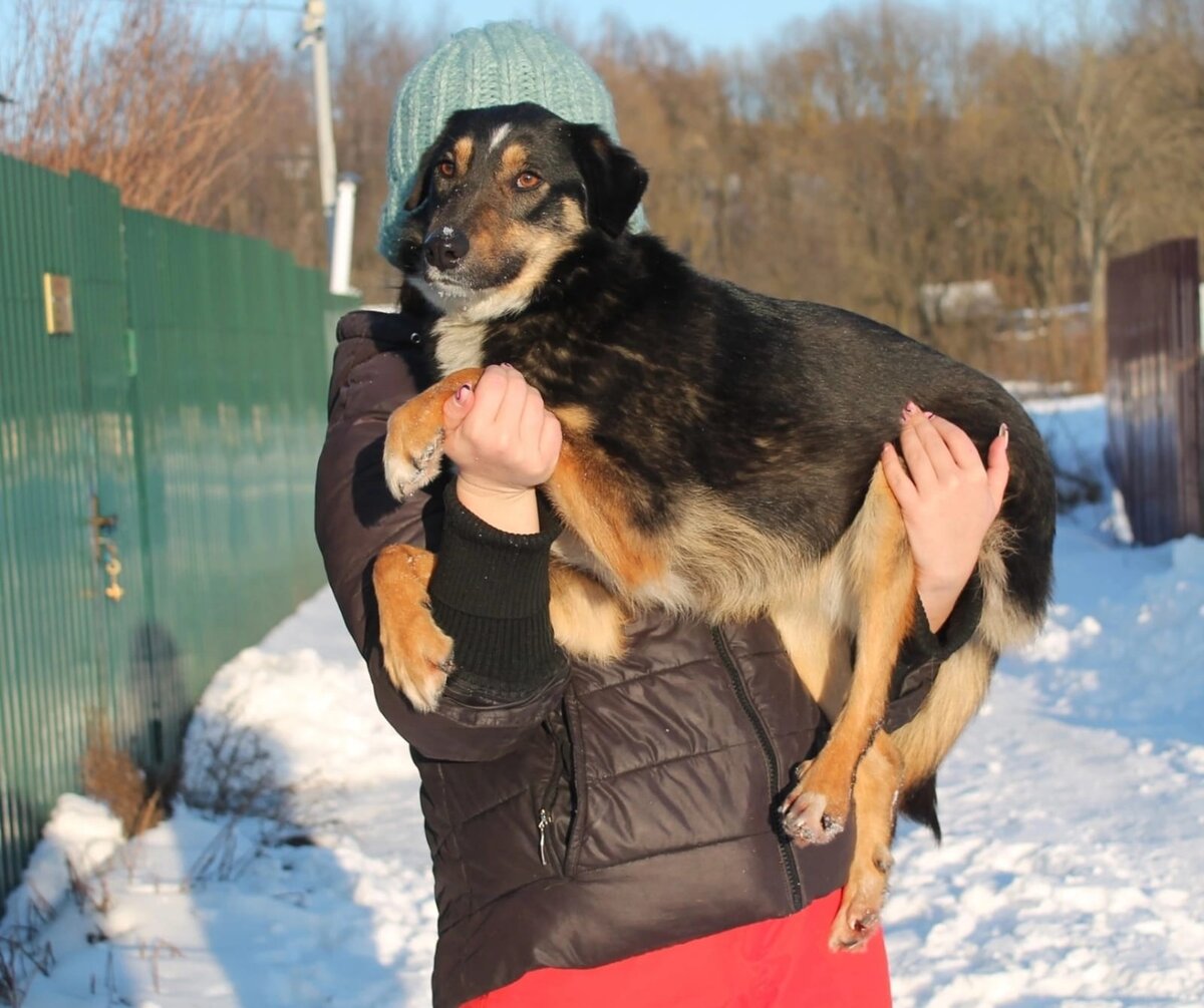 Буся небольшая собачка.