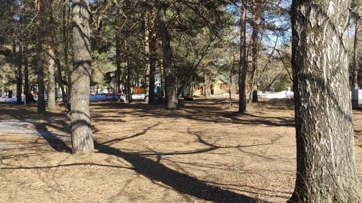     О погоде на ближайшие дни в Ставропольском крае рассказали в Гидрометцентре.