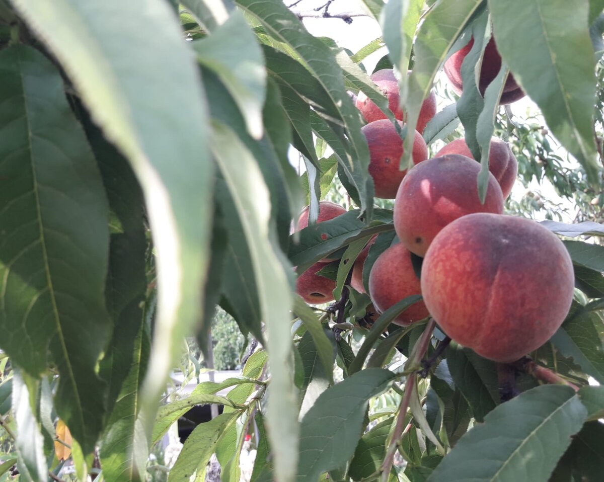 Что нас ждет любви 24-26 февраля