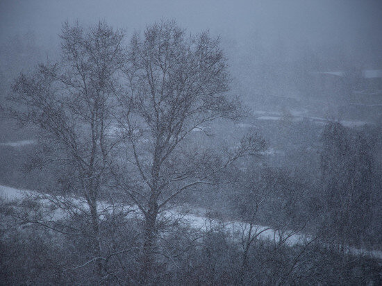   Кристина Белякова