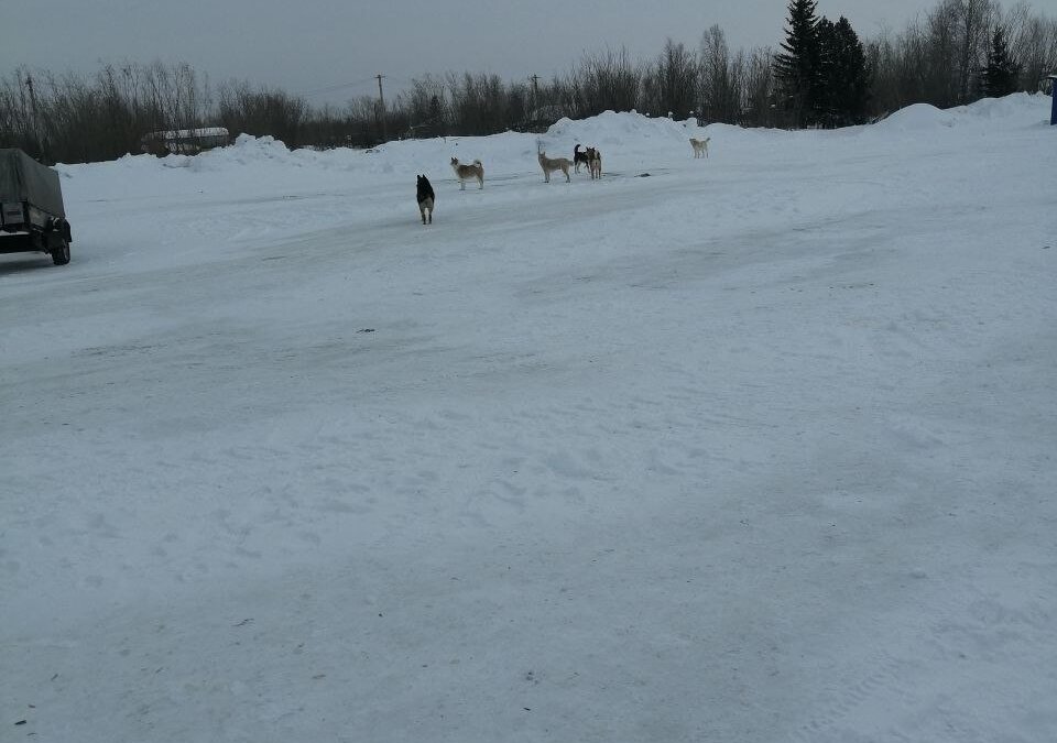 Фото: ИА SM.News📷
