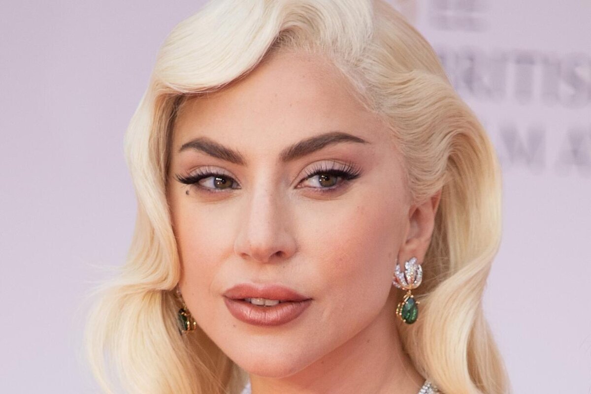    Полмиллиона долларов за собак: Леди Гага предъявили серьезное обвинение © Cover Images/globallookpress.com