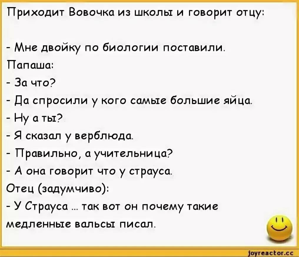 Анекдот шутка презентация 9 класс