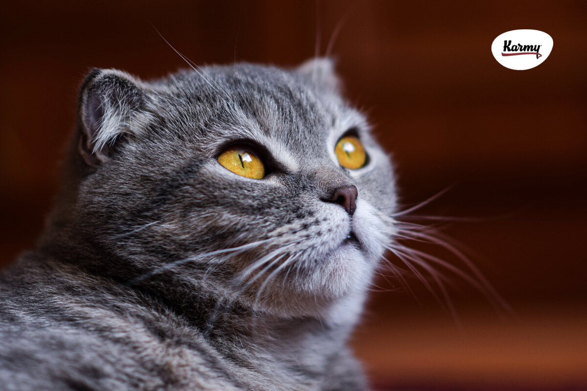 Авторское изображение с использованием картинки с фотостока "Unsplash"