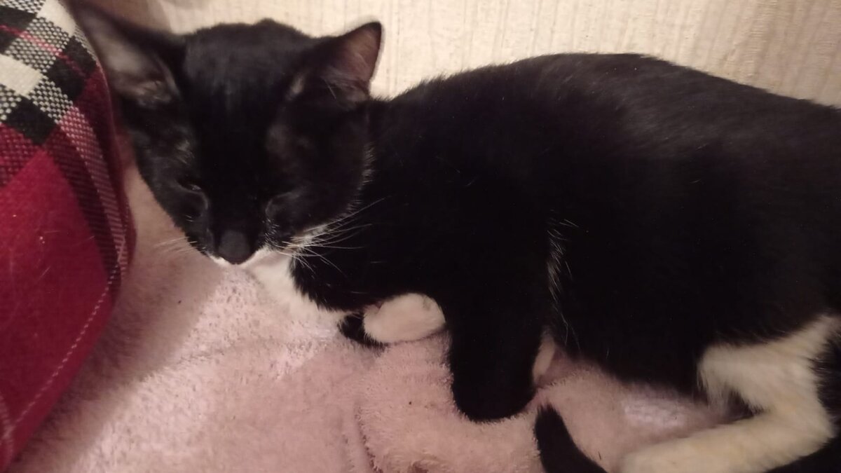 Вот такой он сейчас