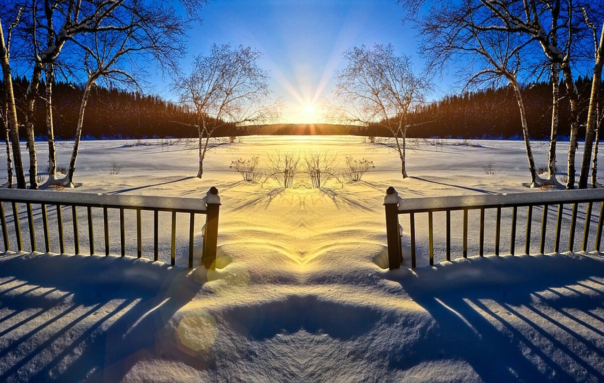 Фото: pixabay.com