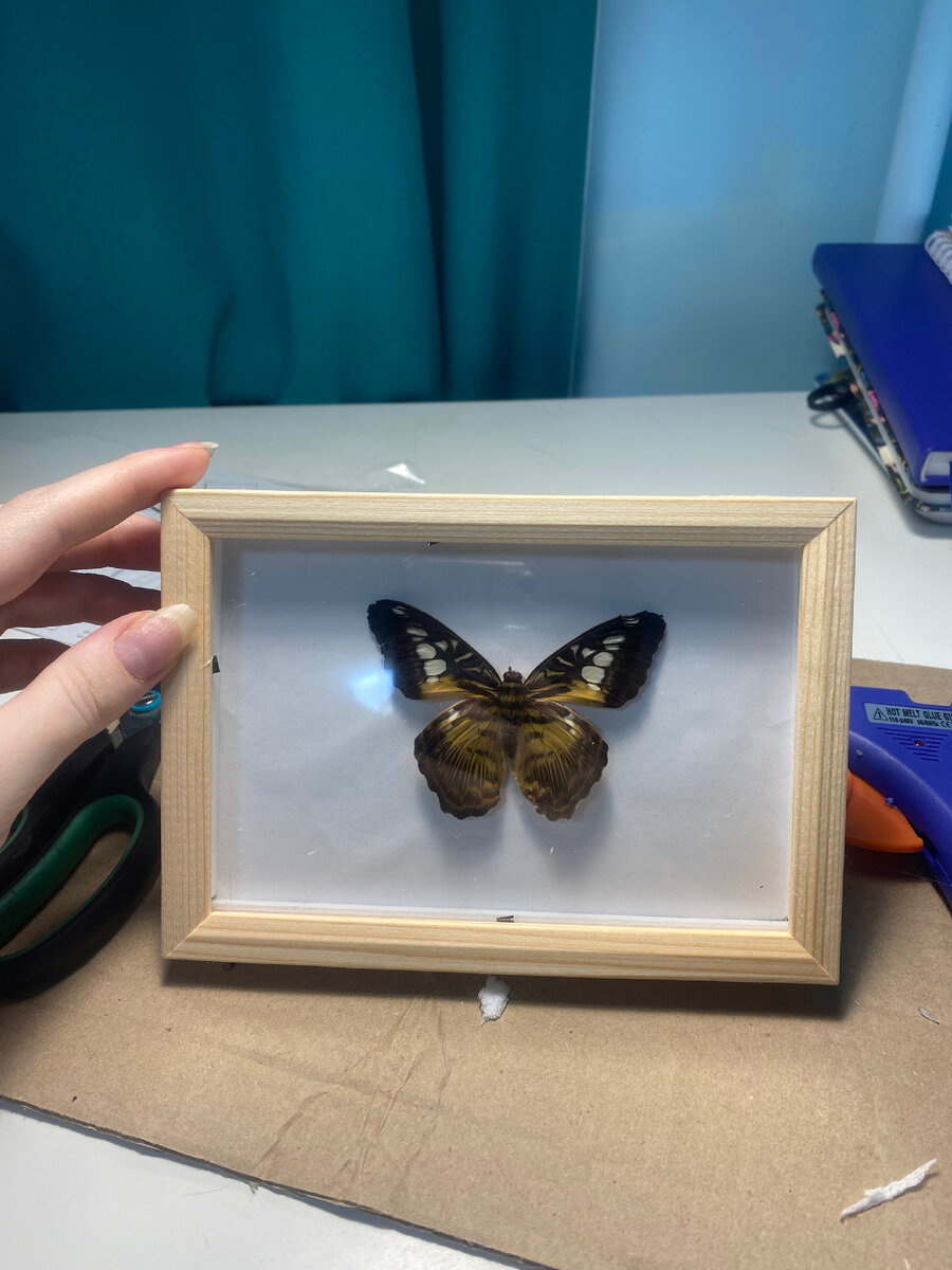 Как правильно сделать рамку с бабочкой? | КАА | Дзен