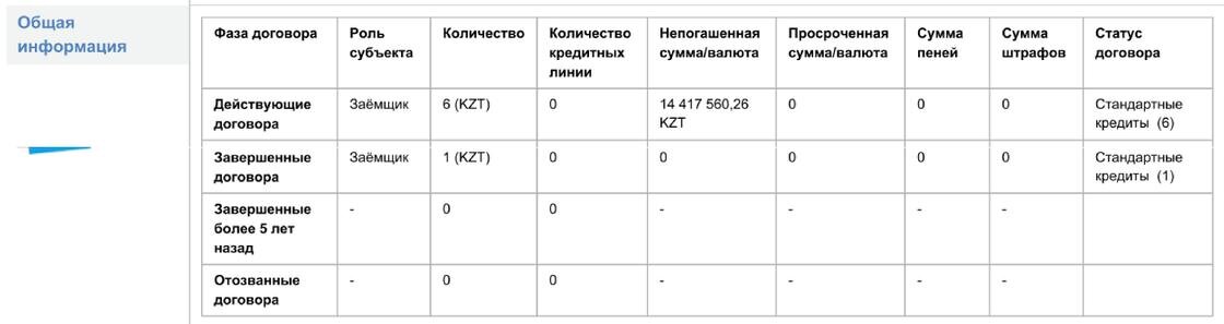    Пример кредитной истории:NUR.KZ