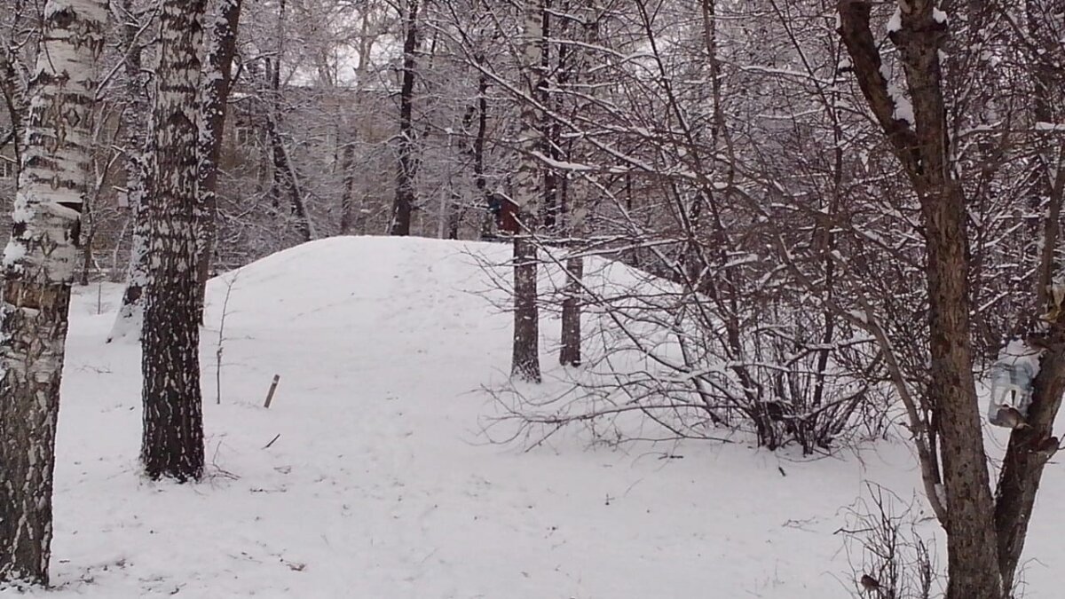 ИА SM News Екатеринбург📷
