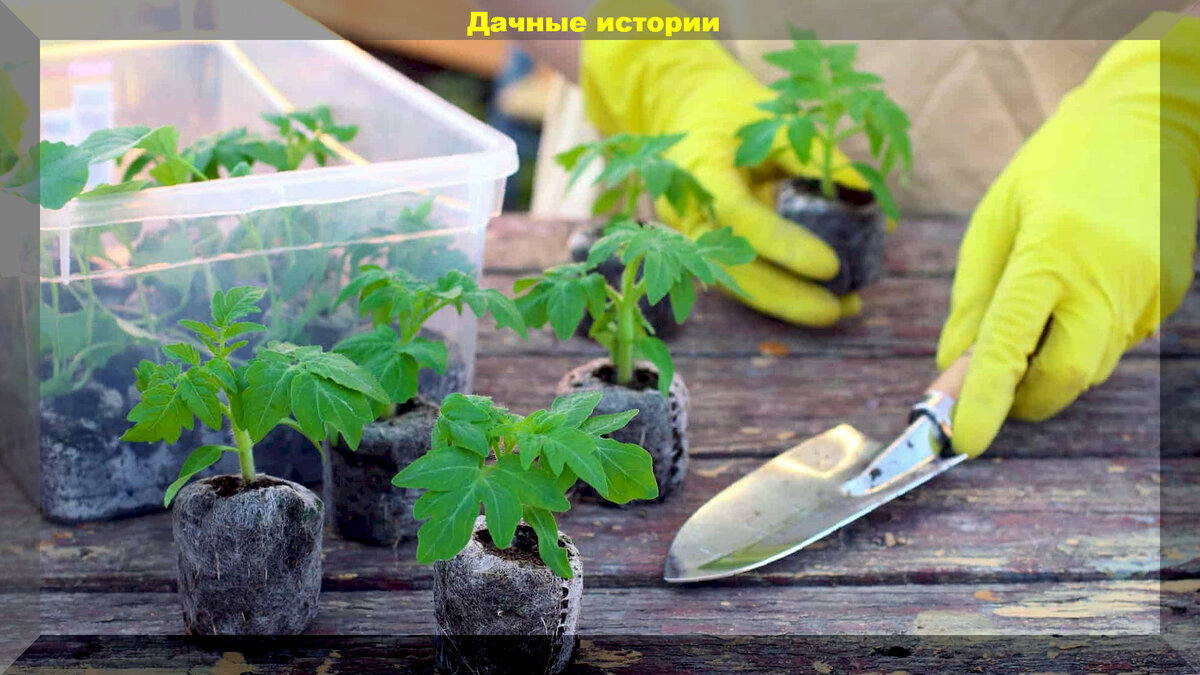https://vk.com/photo-159774511_457259244