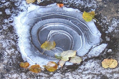 Фото из интернета.