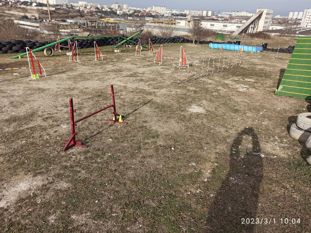 Этот маршрут строила Наталья, он кажется не сложным, если бы не одно НО: пробежать его надо три раза с ма-а-аленькими изменениями, на которых собака и проводник как раз и «срежутся».