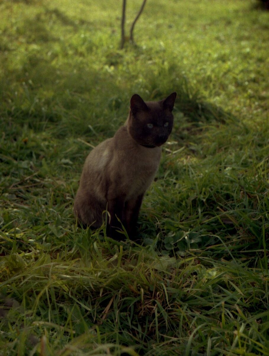 Сема в молодости