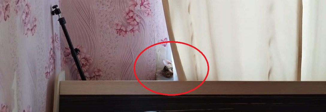 Фото из личного архива