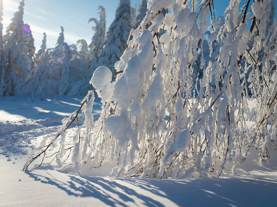     Фото: Людмила Ковалева