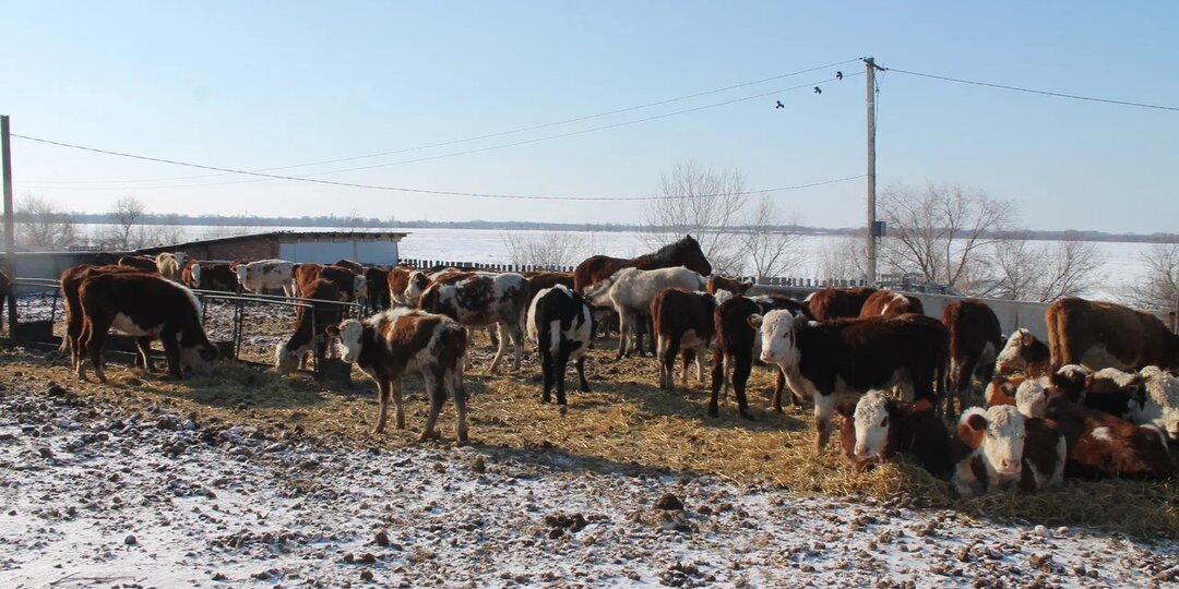 Как стать членом КФХ и не пожалеть об этом?