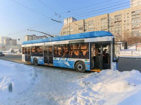     фото густаво зырянова/мк в новосибирске