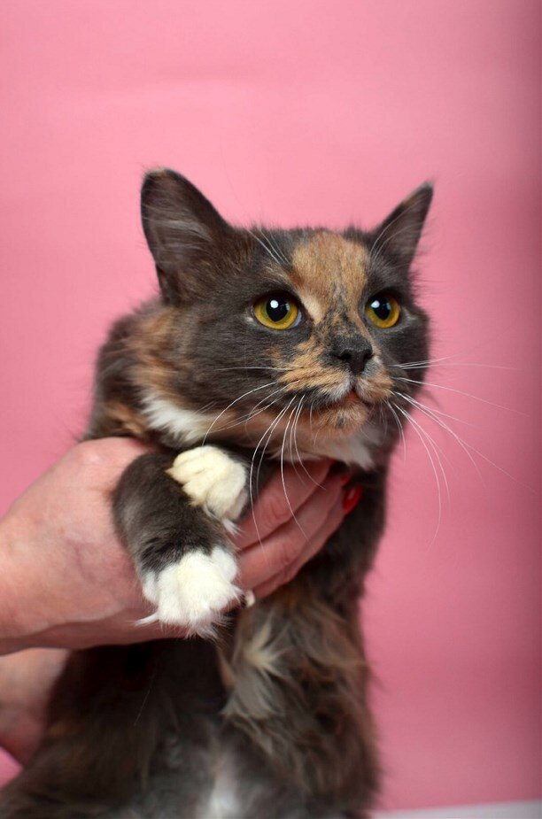 Листайте вправо, чтобы увидеть больше изображений