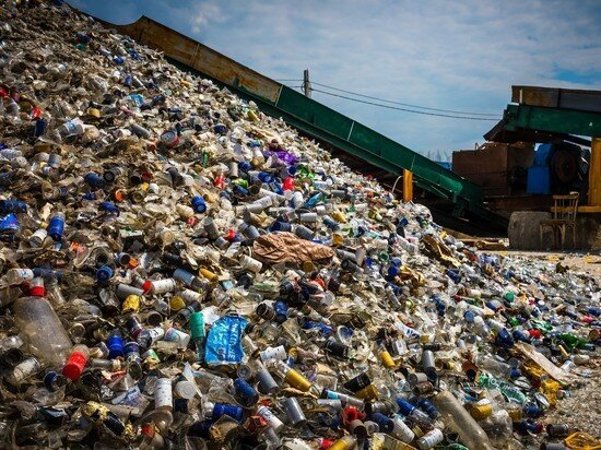     Фото: Олег Каргаполов